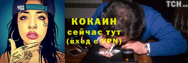 МДПВ Богородск