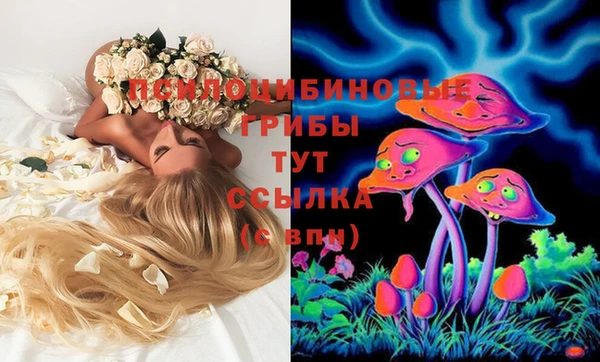 марки nbome Богданович