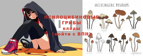 марки nbome Богданович