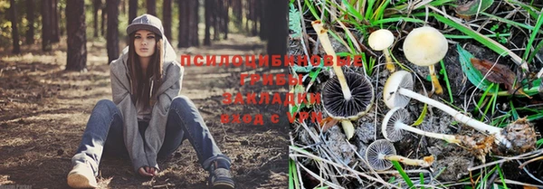 кристаллы Богородицк
