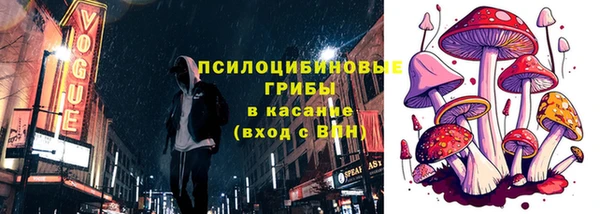 МДПВ Богородск