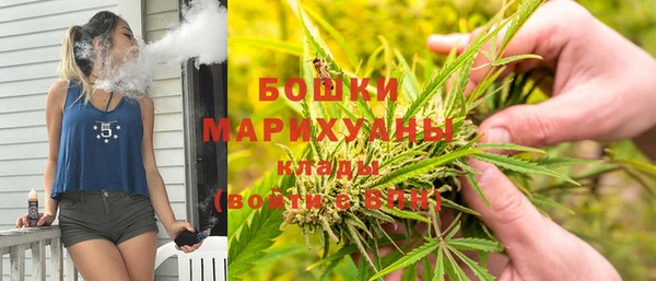 МДПВ Богородск